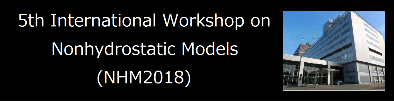 TITLE Non-hydrastatic models